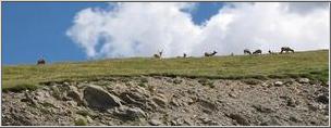34Trail_Ridge.jpg